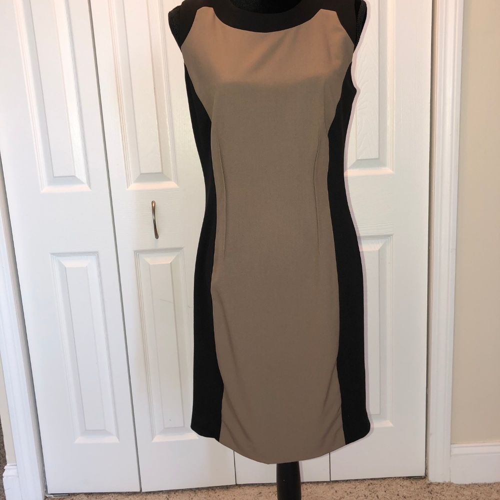 Sleeveless Black and Tan Dress.